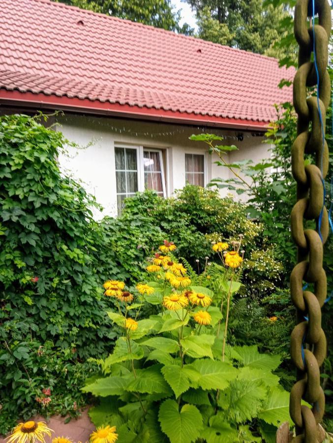 Aparthotel Bialy Dom Ściegny Exteriér fotografie